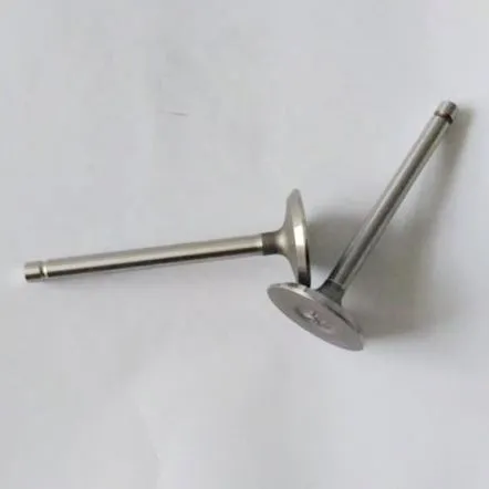 Katup Masuk dan Buang untuk Sepeda Motor Cg150