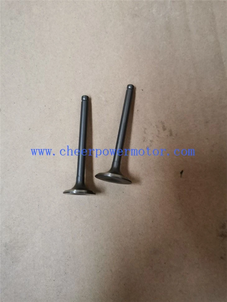 110cc cub Motorcycle Engine Valve (2)